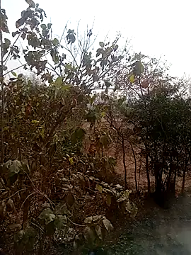 Snapshot of DesiPlayboy09 chatting on February 22, 2026, 8:28 am DesiPlayboy09 online show from February 22, 2026, 8:28 am