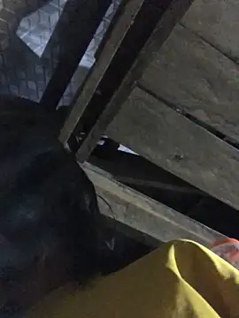 Snapshot of sun-shii chatting on March 22, 2026, 11:28 pm sun-shii online show from March 22, 2026, 11:28 pm