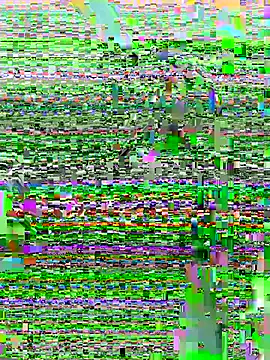 Snapshot of DouDou-- chatting on June 23, 2026, 2:37 pm DouDou-- online show from June 23, 2026, 2:37 pm