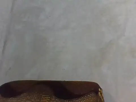 Snapshot of serreyy chatting on May 11, 2026, 9:43 am serreyy online show from May 11, 2026, 9:43 am