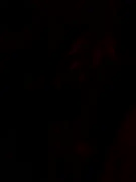 Snapshot of tropicalpied chatting on January 16, 2026, 4:38 am tropicalpied online show from January 16, 2026, 4:38 am