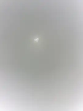 sharck12 35 online show from January 18, 2026, 11:13 am