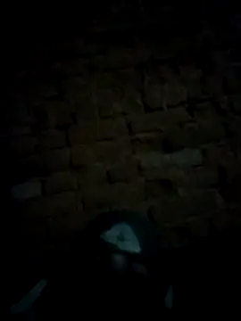 Roshni5050 online show from January 18, 2026, 2:20 pm