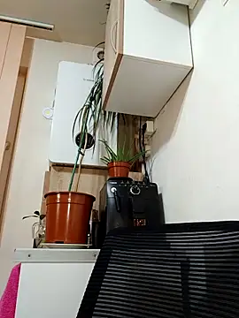 AdaJoy online show from March 17, 2026, 9:29 pm