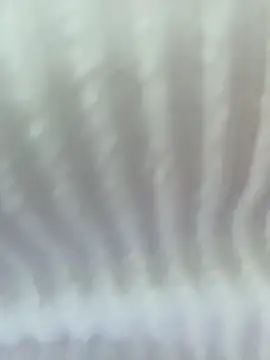 Your Enyel online show from February 3, 2026, 12:43 am