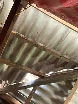 Suny-sexy online show from March 20, 2026, 1:50 am