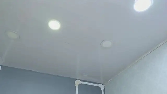 HaileyTims online show from April 29, 2026, 11:36 am