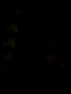 BLR-BOYZZZZZZZZ online show from February 18, 2026, 7:10 pm