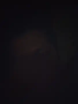 Pravin9562 online show from March 4, 2026, 7:10 pm