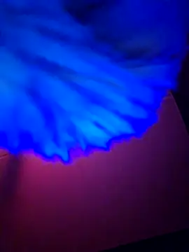 dewimp1 online show from February 6, 2026, 6:20 am