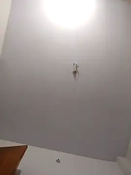 maisamim2 online show from March 6, 2026, 3:01 am