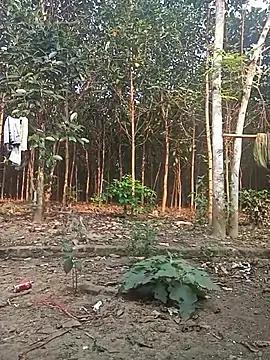 Snapshot of Nuna_689 chatting on March 31, 2026, 9:22 am Nuna 689 online show from March 31, 2026, 9:22 am