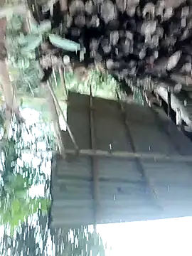 Snapshot of meomeo30 chatting on February 11, 2026, 8:36 am meomeo30 online show from February 11, 2026, 8:36 am