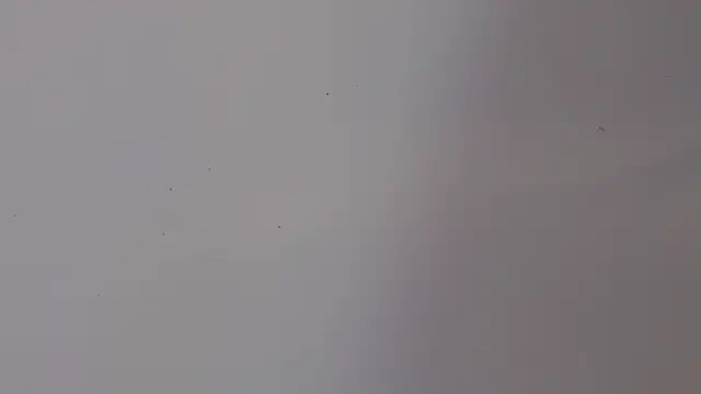 adara cute 69 online show from February 5, 2026, 6:15 pm