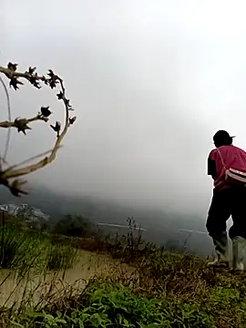 Hoa-tuylip online show from February 24, 2026, 3:18 am