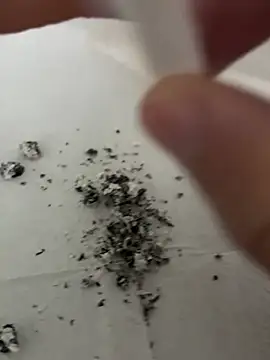 dickdondra online show from February 2, 2026, 11:42 am