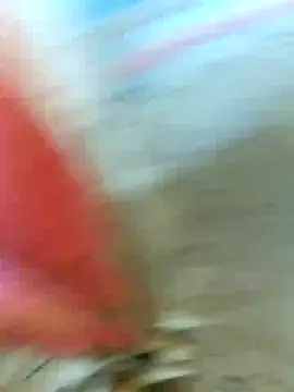 04 bryan online show from May 13, 2026, 7:54 pm