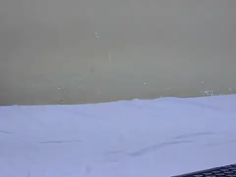 Snapshot of candyque chatting on July 1, 2026, 3:01 pm candyque online show from July 1, 2026, 3:01 pm