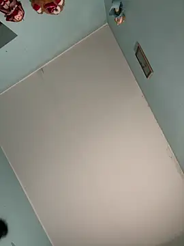 Aloyenita online show from February 4, 2026, 1:39 pm