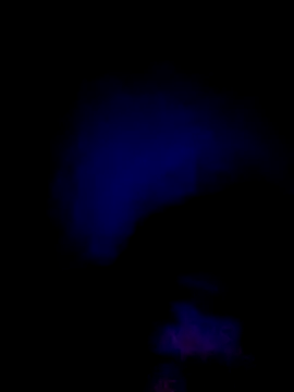 061190 online show from February 28, 2026, 3:44 pm