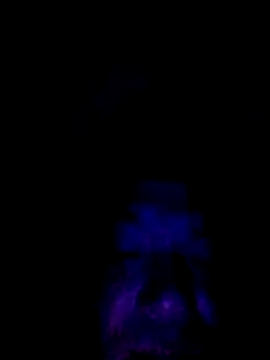 061190 online show from February 25, 2026, 3:23 pm