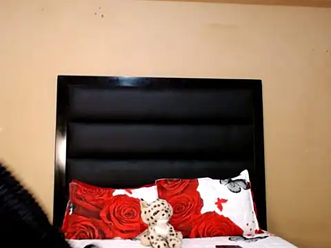 AppleAsss online show from February 11, 2026, 9:14 pm