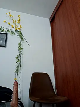 Luis prince  online show from February 3, 2026, 6:24 pm