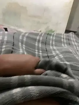 Domzin33 online show from February 1, 2026, 6:06 pm