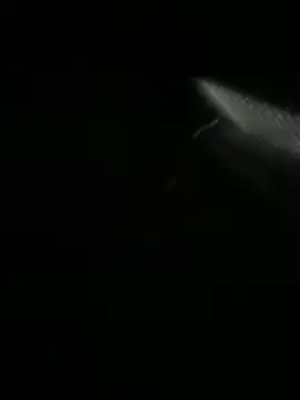 Snapshot of Jordan_Blanco chatting on March 30, 2026, 11:11 am Jordan Blanco online show from March 30, 2026, 11:11 am