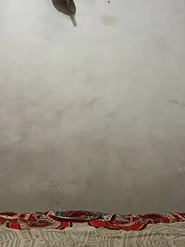 dominick fran online show from March 10, 2026, 11:31 pm