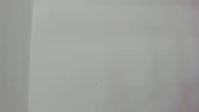 jack sorel online show from March 3, 2026, 10:55 am