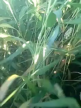 Cute Boy 4 online show from February 27, 2026, 2:45 am