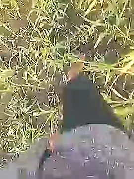 Cute Boy 4 online show from February 28, 2026, 2:22 am