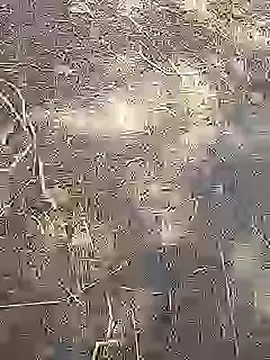 Cute Boy 4 online show from March 14, 2026, 8:42 am