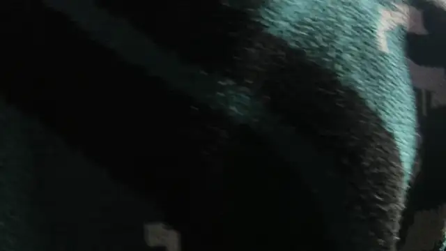 Christopher Hunter online show from March 22, 2026, 4:27 am