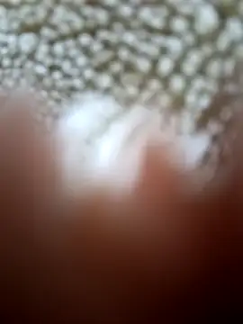 Vhi52 online show from April 27, 2026, 10:08 pm