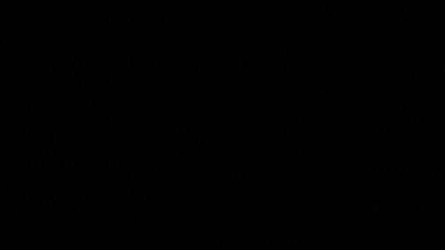 Snapshot of Luanatrav1 chatting on March 12, 2026, 9:46 am Luanatrav1 online show from March 12, 2026, 9:46 am