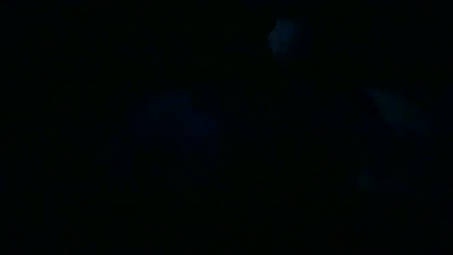 Snapshot of Luanatrav1 chatting on March 19, 2026, 9:31 am Luanatrav1 online show from March 19, 2026, 9:31 am