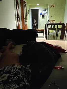 Gordinho dos pes online show from March 16, 2026, 11:07 pm