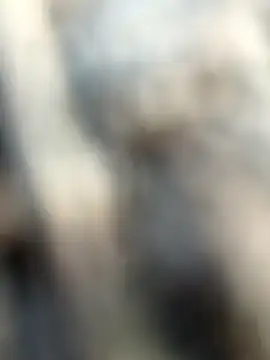 kalai 32 online show from February 3, 2026, 2:00 am