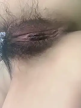 fadssa online show from February 3, 2026, 6:40 am