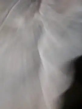 Snapshot of poke90201 chatting on March 22, 2026, 12:58 am poke90201 online show from March 22, 2026, 12:58 am