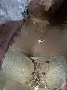 yuii-717 online show from February 4, 2026, 2:45 pm