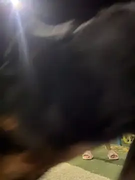 Snapshot of Arya___ chatting on February 19, 2026, 5:48 am Arya online show from February 19, 2026, 5:48 am