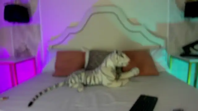 niicole garner online show from February 25, 2026, 3:56 pm