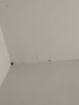 Snapshot of -for-you- chatting on February 23, 2026, 11:44 am -for-you- online show from February 23, 2026, 11:44 am