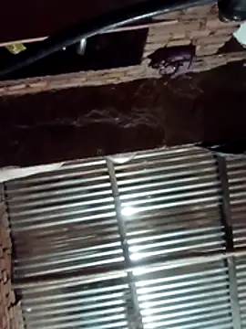 Snapshot of Hot_ree64 chatting on March 27, 2026, 5:25 pm Hot ree64 online show from March 27, 2026, 5:25 pm