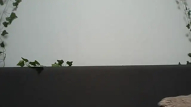 Snapshot of LilitTXX chatting on July 30, 2026, 10:09 pm LilitTXX online show from July 30, 2026, 10:09 pm
