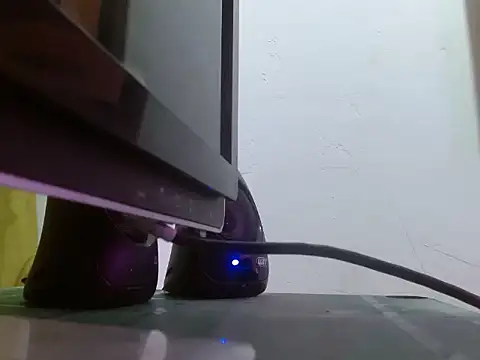 elking big online show from March 10, 2026, 5:33 am