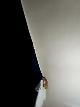 baby 22cm online show from February 11, 2026, 1:38 am